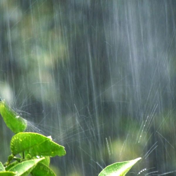 梅雨に伴うカラダの不調には極上のリラックスタイムで自律神経の乱れを修復