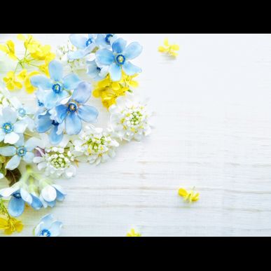 ボディケアサロンリベレでは、サービスをご提供するに当たりお客様のお身体への影響を考慮した禁忌を設けております